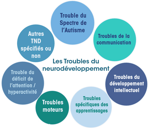 Schema trouble du neurodéveloppement